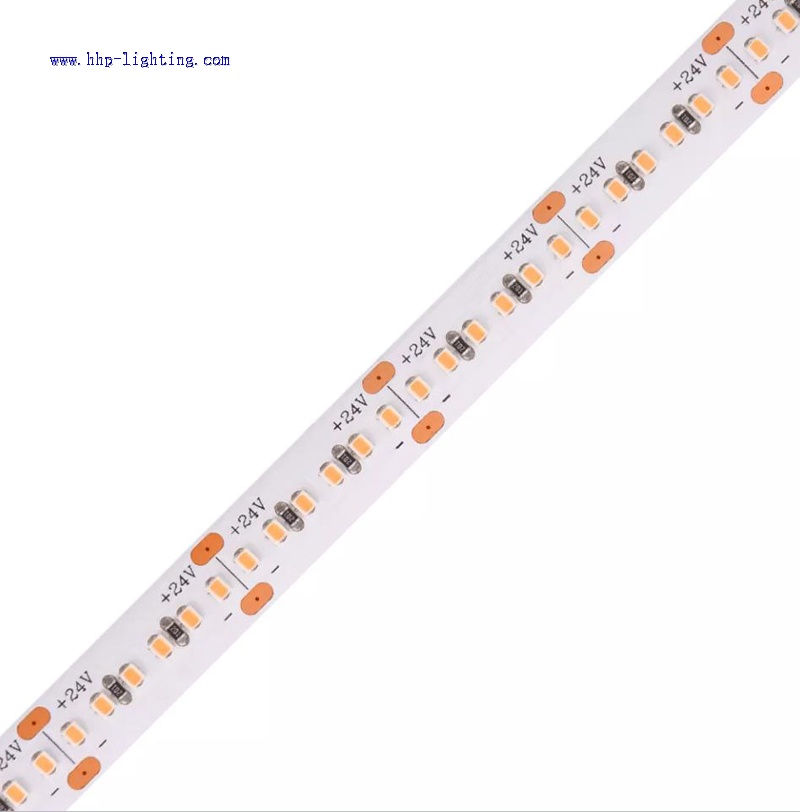2216 240LED/M LED Flex Strip